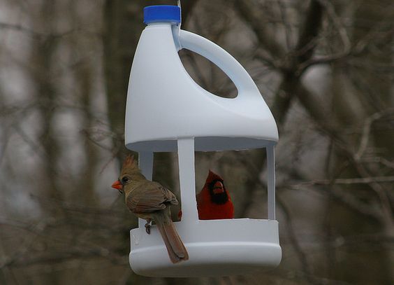 Fabriquer une mangeoire oiseaux en bouteille de plastique : tutos