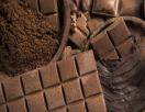Chocolaterie du plessis (sarl)