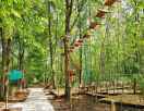 Monkey forest aventures & loisirs