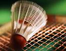Badminton club villeurbannais