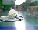 Badminton squash tennis club
