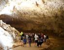 Grotte Et Parc Prhistoriques