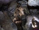 Prhisto-grotte Cova Bastera