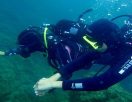 Rossi - pratique de la plongée sous-marine, de sports e