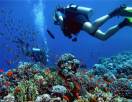 Asbr - pratique de la plongée sous-marine, de sports et