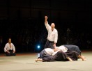 Arts martiaux traditonnels japonais doryoku dojo serain