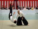 Aikido club des mazades