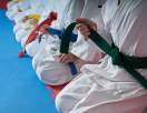 Judo club toulonnais sectkar