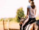 Rince - Centres équestres, équitation