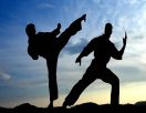 Renseignements judo toutes disciplines