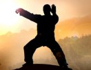 Shaolin tao kung-fu montpellier