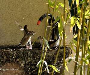 photo Pascale blanchard psychothrapeute Cagnes Sur Mer 8878