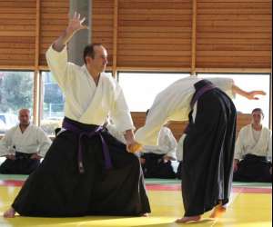 photo Ju-jutsu traditionnel mthode wa jutsu Sarlat La Caneda 7849