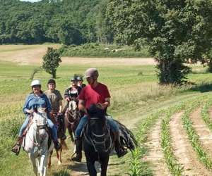 Equitation Western De Loisirs Le Ranch Des Centaures