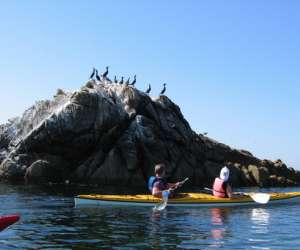 photo Sillages ecole de kayak mer St Pierre Quiberon 2500