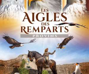 photo Les aigles des remparts - provins Provins 18631