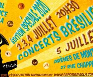 Festival mergence Capoeira Et Concerts Brsiliens 