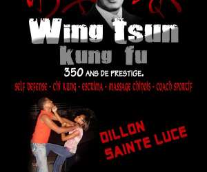 photo Wing tsun martinique St Joseph 3544